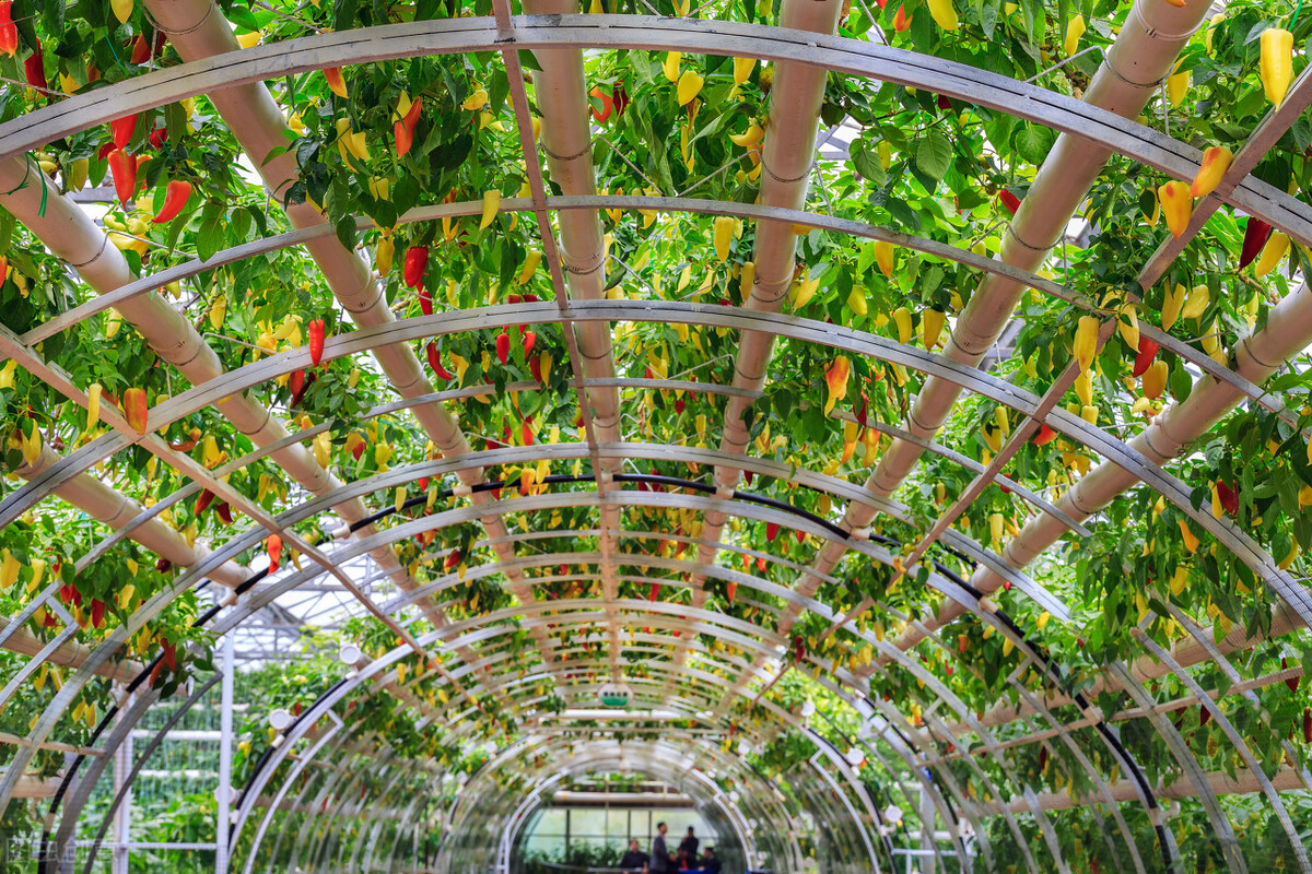 现代社会有旱灾吗,现代会出现旱灾吗