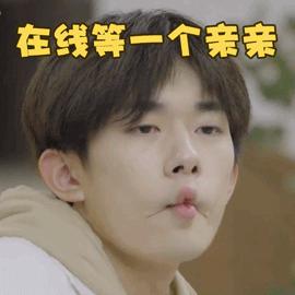 微信打字表情包动态图,微信聊天表情图片大全