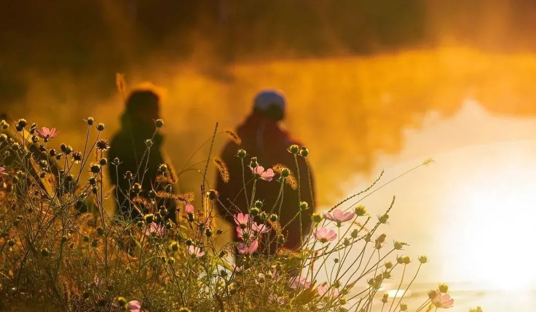 一块墓碑的启示,一块墓碑的启示深度好文