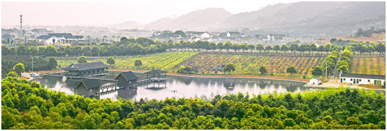 视觉江苏之五:江苏江阴——春风十里,醉美狮山湖!