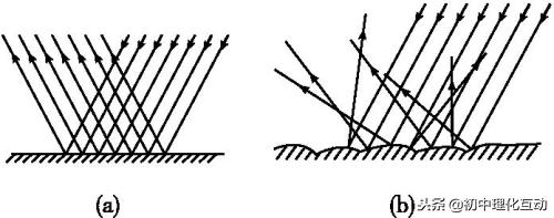 八年级上册物理光现象实验题,八年级上册物理光现象乐乐课堂
