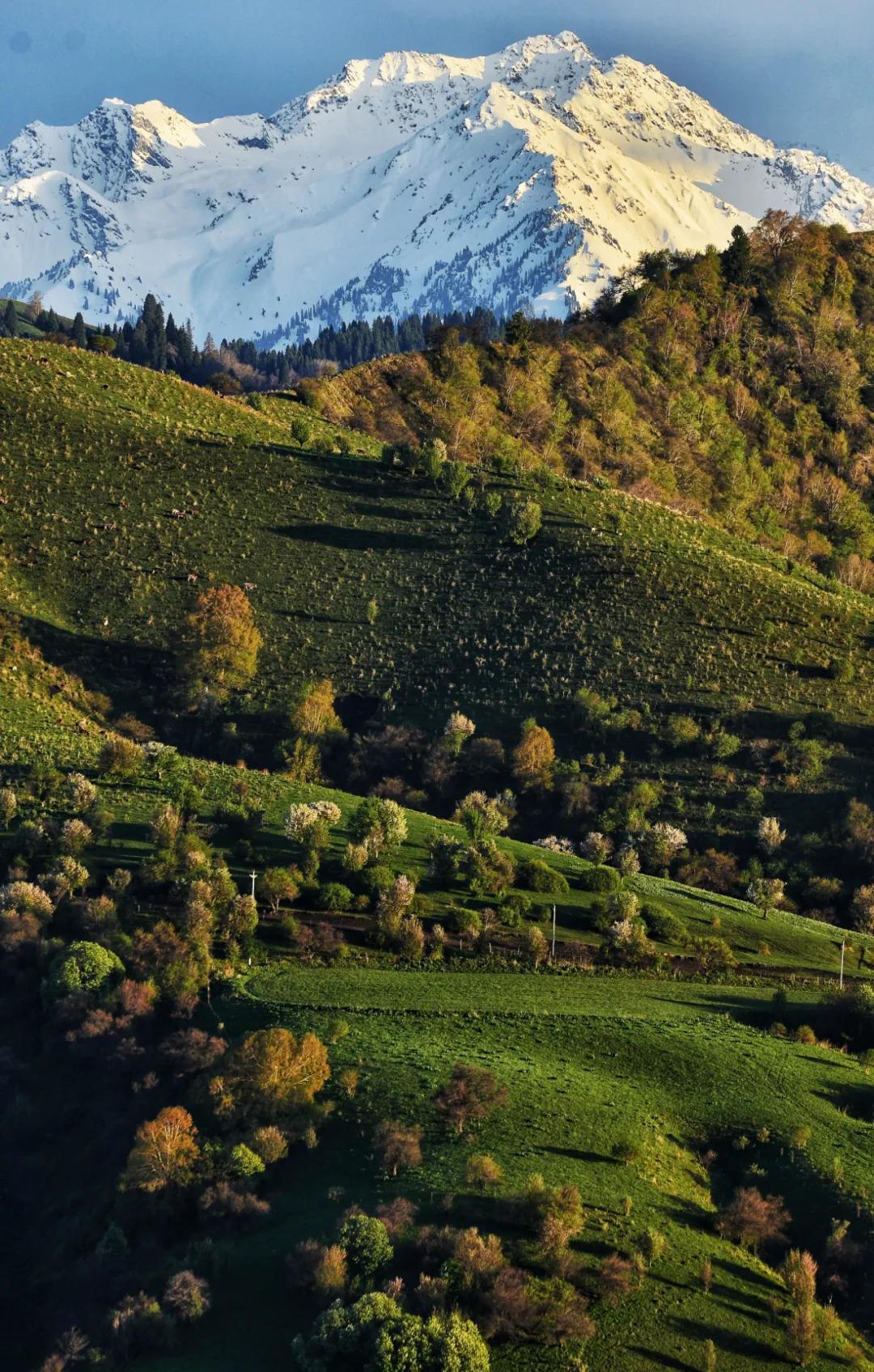 伊犁最美的50处绝色美景,伊犁最美的小众景点