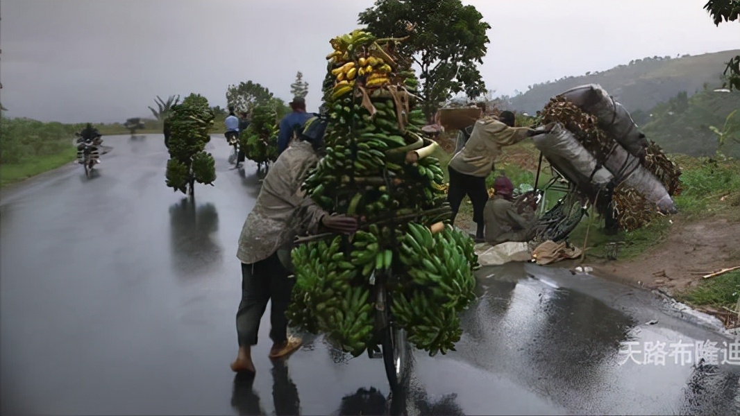 非洲布隆迪,最不发达国家之一,一辆“二八大杠”能养活一家人