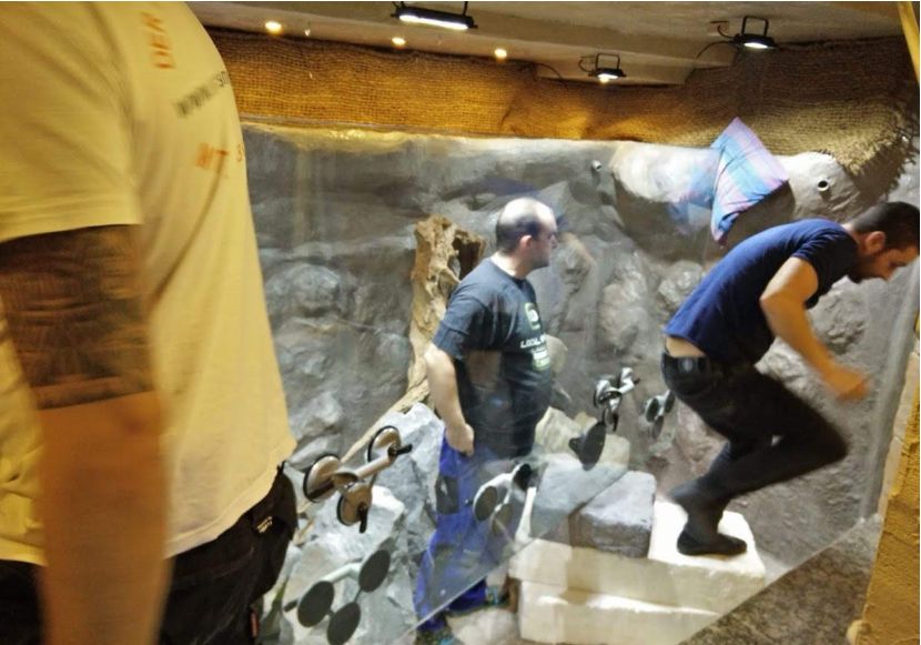 自己做大型水陆缸,在家自己打造一个沙漠缸