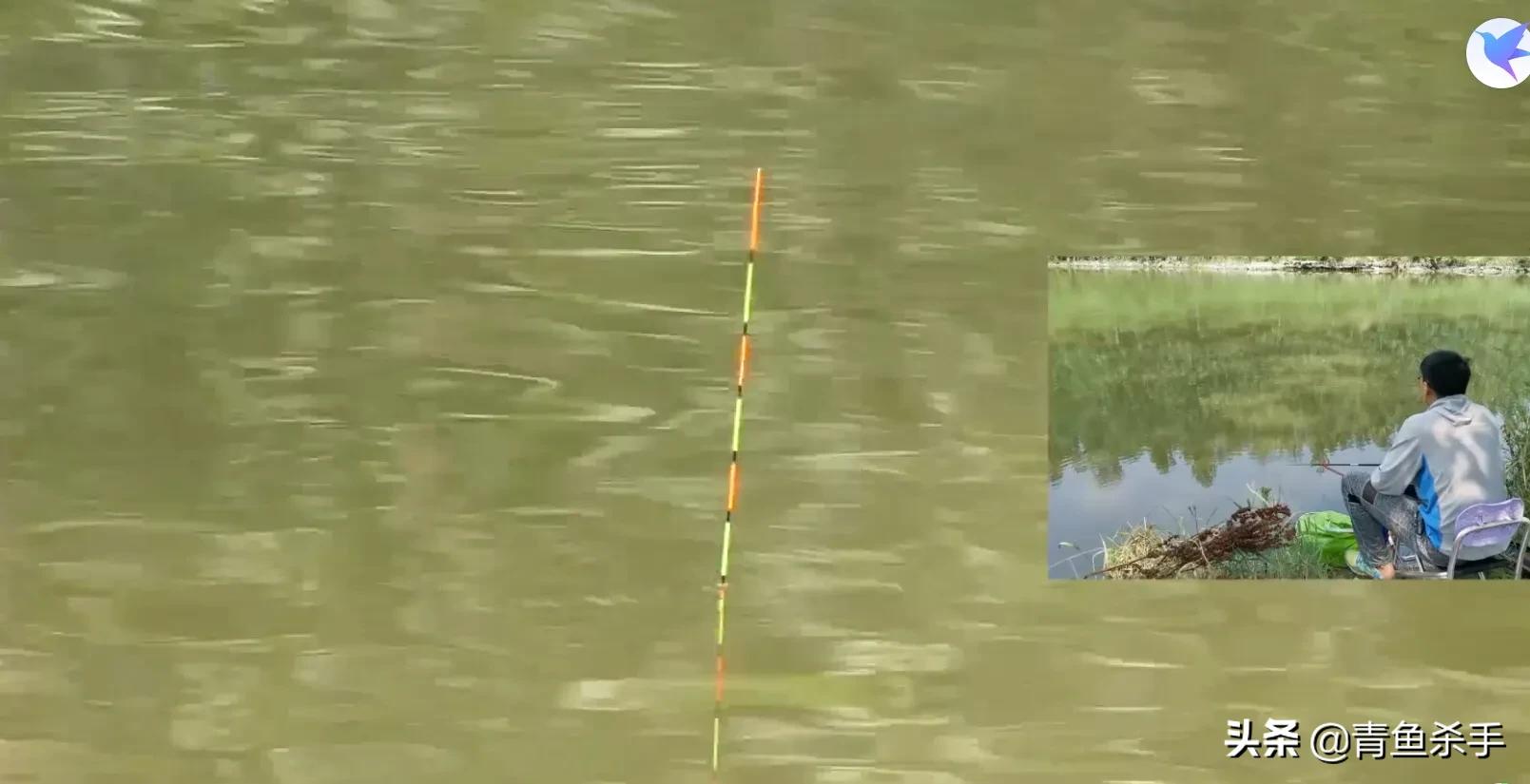 野钓看漂如何准确抓口,钓鱼怎么看浮漂抓口