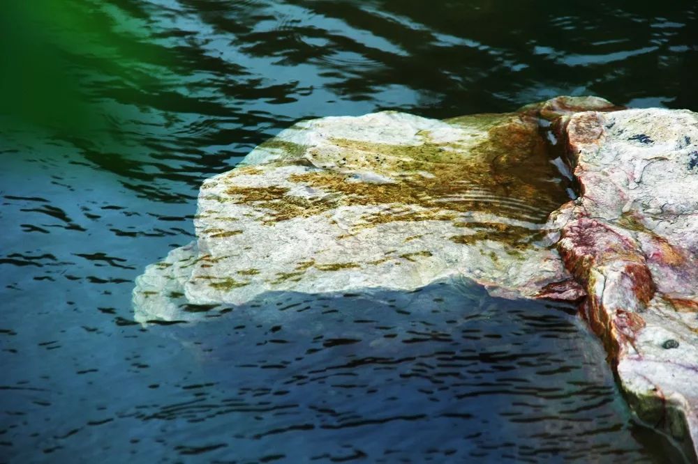 叮咚邀请函请注意查收,叮咚邀请函查收