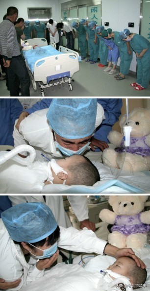 26张活久见的图片看完又涨知识了,42张照片大图