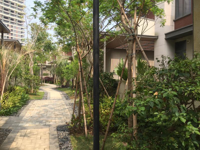 明珠蒙尘,漳州港双鱼岛开发对房价的影响