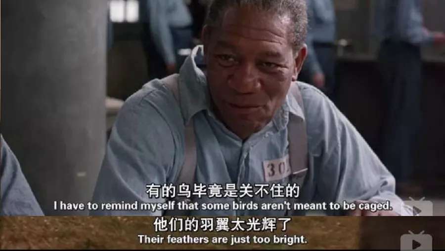 假期电影推荐排行榜前十名,假期适合儿童看的8部电影