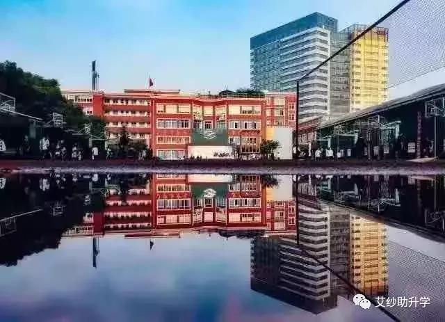 民办西南位育中学,民办位育中学国际部如何招生