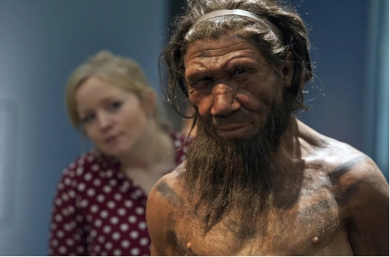 丹尼索瓦人化石,丹尼索瓦人南方古猿人