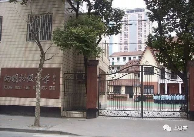 上海这个区没有超级名校,竞争小!小学不在本区读,进不了好初中