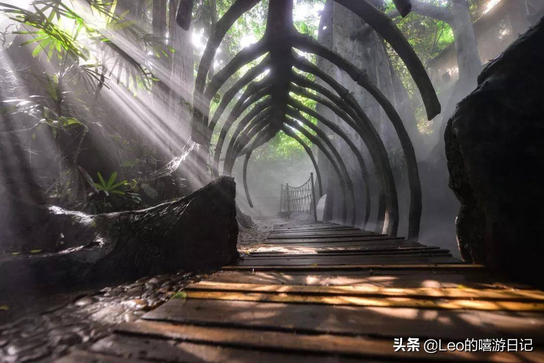 亲子秋游深圳青青世界,大自然深圳青青世界