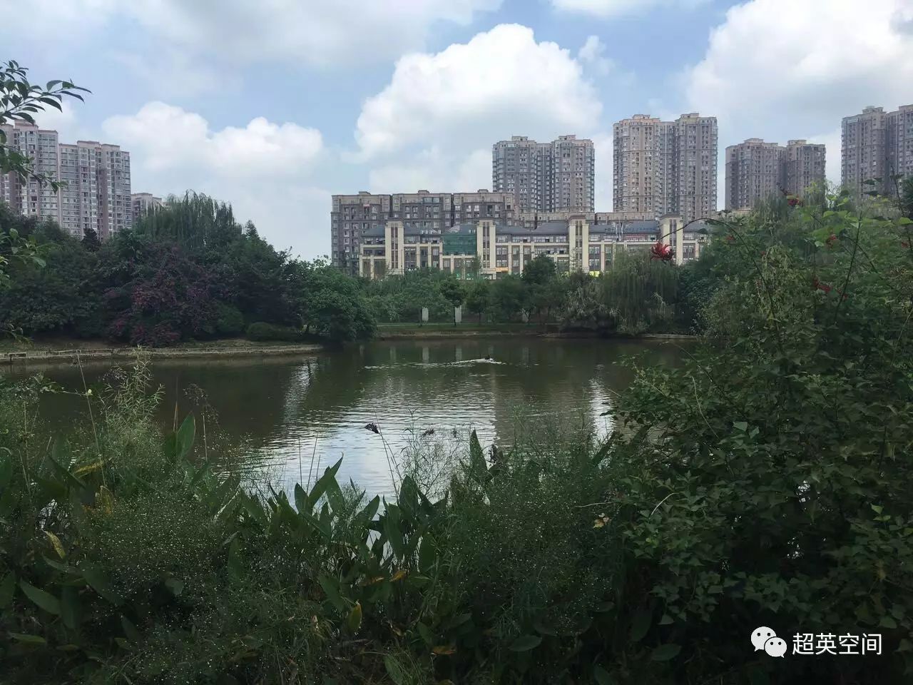 移动互联网入口是什么意思,移动互联网入口为什么这么重要