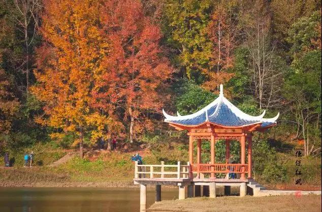 广西最想去的地方,广西最想去的8个地方