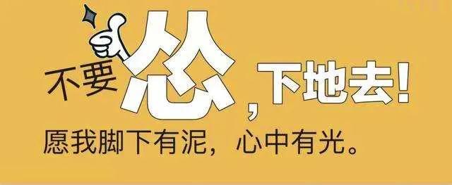 农资难做如何破局,农资生意十大难