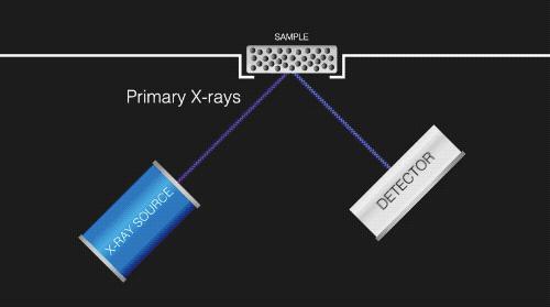 百万美金买的千年古籍实际才刚成年？现代打假技术太给力了