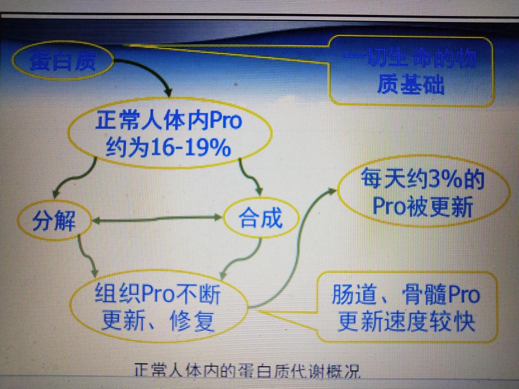 最新优质蛋白质排名,带你选择最优质的蛋白质