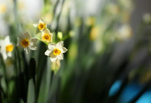 老人再婚的几点忠告,如何对待老年人再婚问题