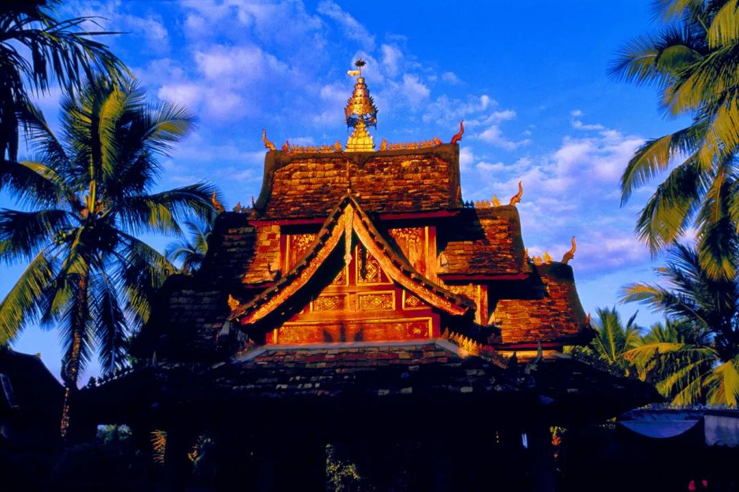 十一月份西双版纳旅游人多吗,十一月份的西双版纳有茶叶吗