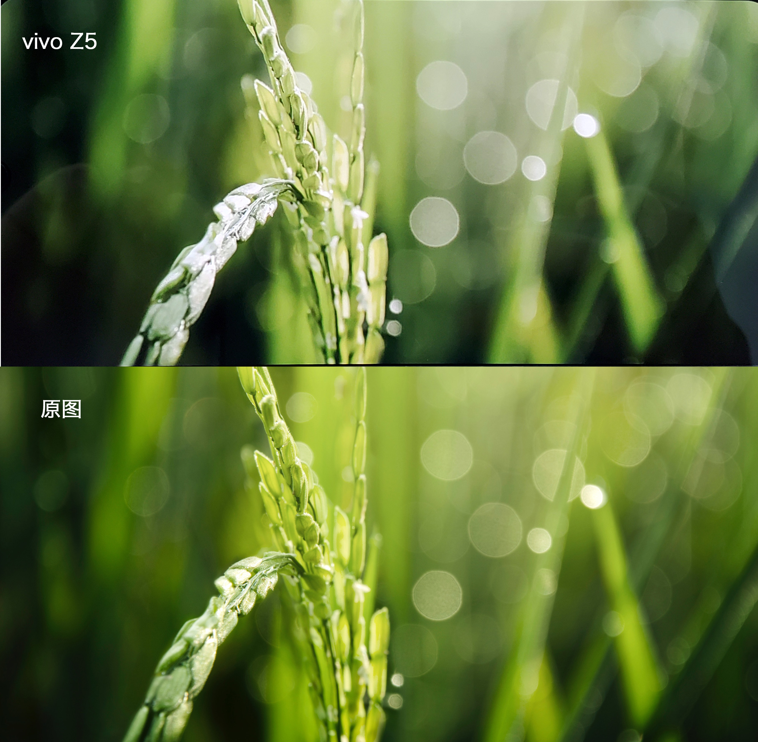 vivoz5到底值不值得入手,vivoz5值不值得学生党用