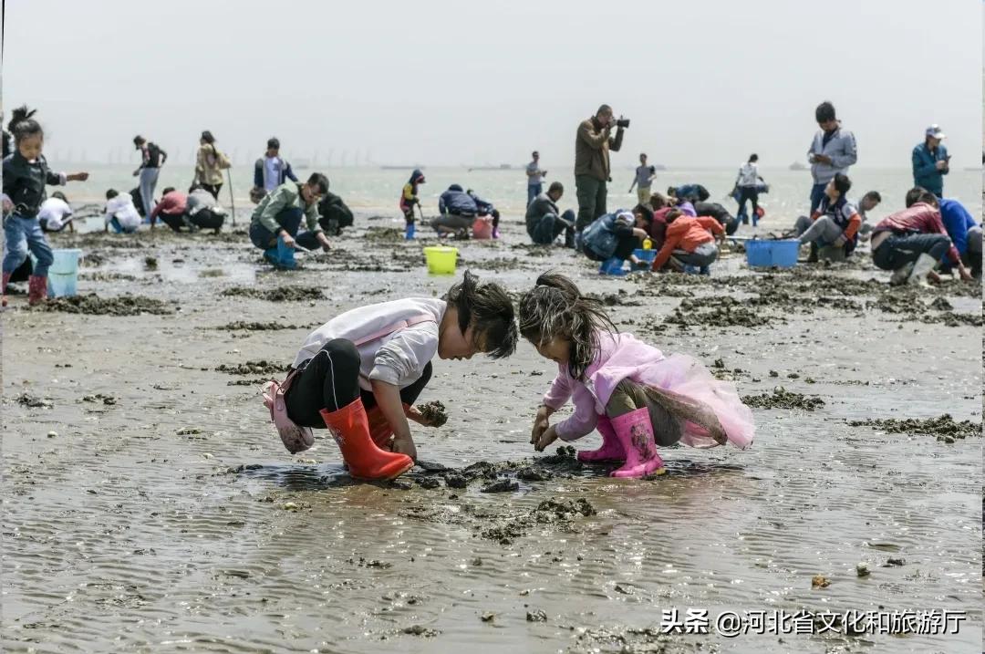 吃在嘴东渔港:过一种“鲜仙”生活