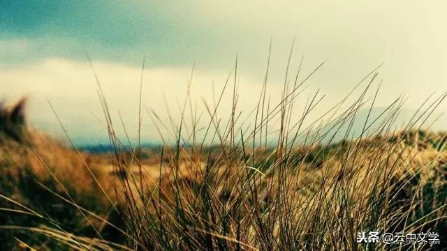 成语词语接龙带数字,二千条成语首尾接龙