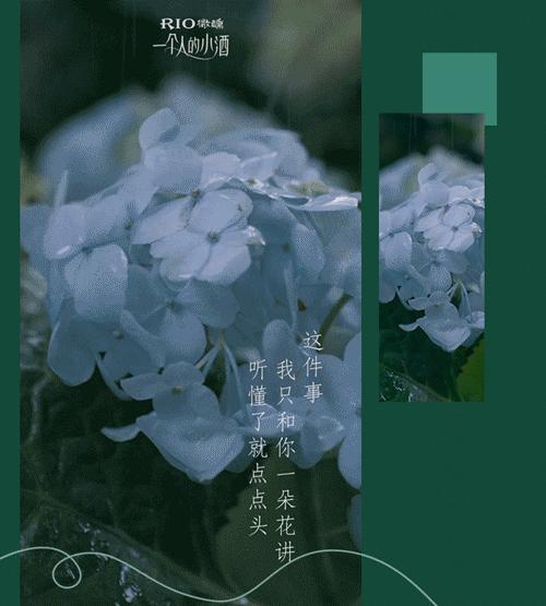 rio微醺广告案例分析,rio微醺醉人吗