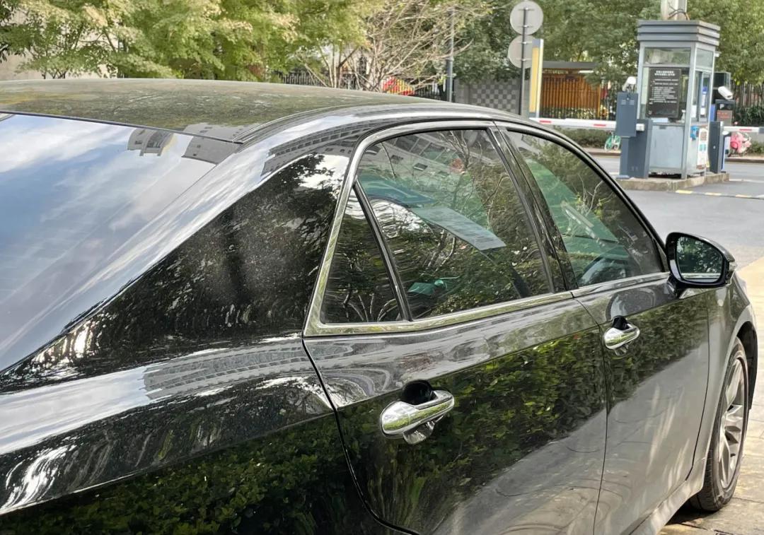 如果当年，你买了皇冠的话…