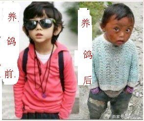 养鸽子靠什么赚钱,创业养鸽子能赚钱吗