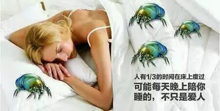 脸上有螨虫的10个征兆,脸上有螨虫的人要注意了