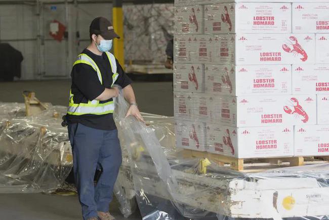 加拿大龙虾怎么处理,冷冻食品龙虾