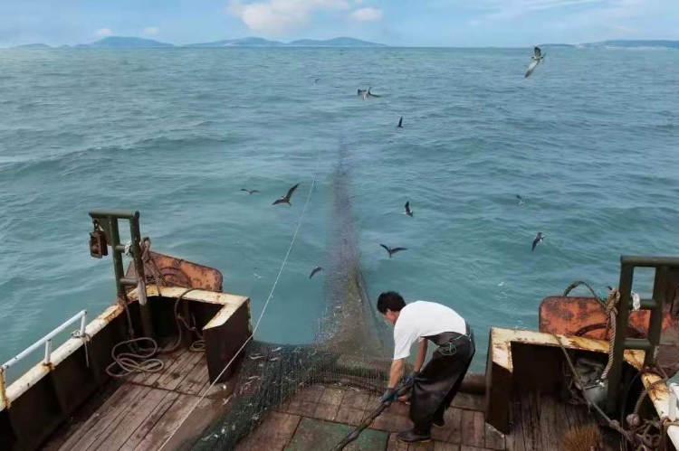 温州洞头一日游必去景点推荐,温州必去旅游景点