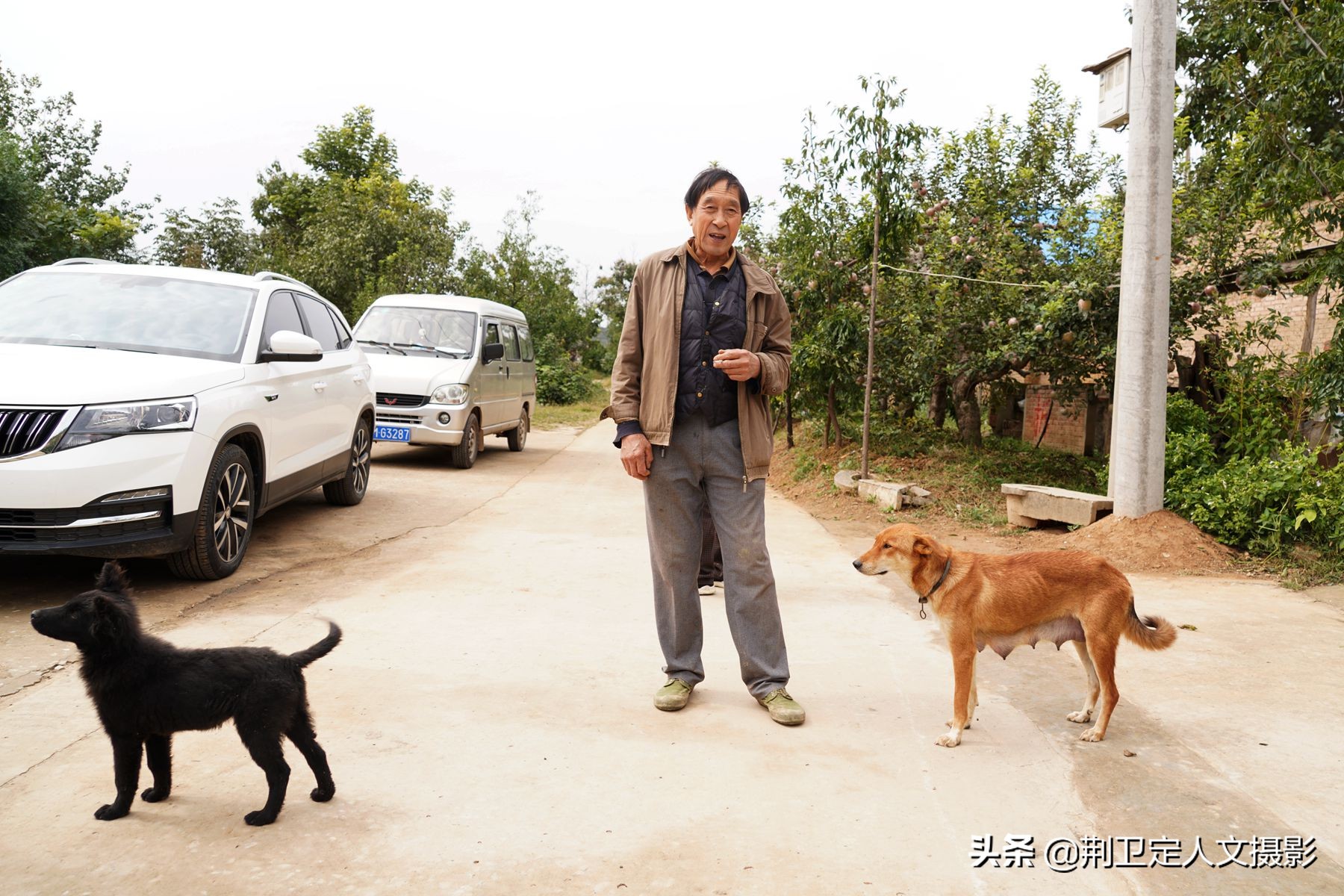 橘子树四五年了没结果,好几年的橘子树怎么不结果