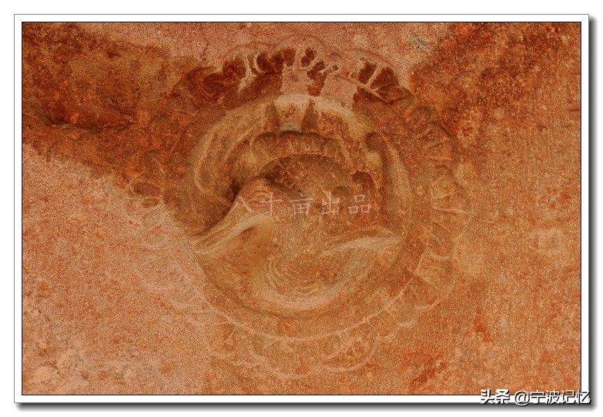 走访鄞州区最西边的村——东西郑村,姜山镇