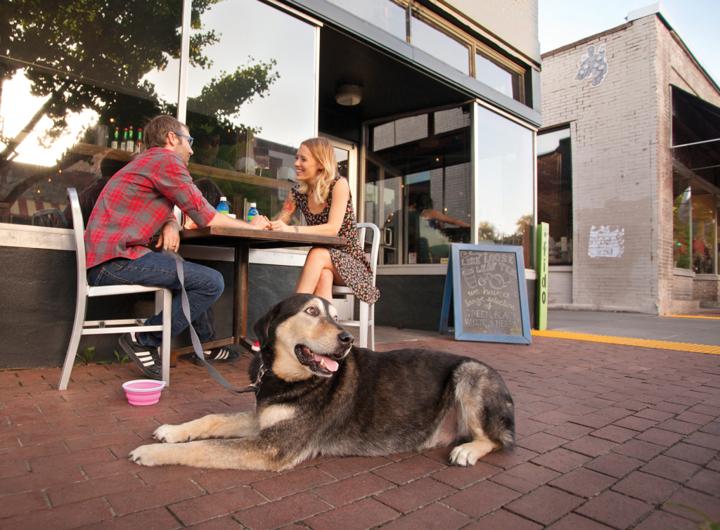 狗狗要去别人家怎么办,狗狗来新家做什么准备