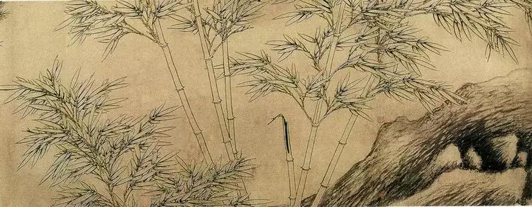 郑板桥画的是什么品种竹子,郑板桥画的横幅竹子