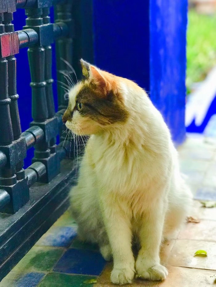 去摩洛哥自由行攻略,摩洛哥游玩自由行攻略