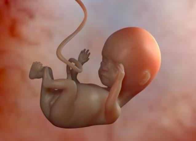 辟谣：孕期同房不是完全都是坏处，主要体现在胎儿身上