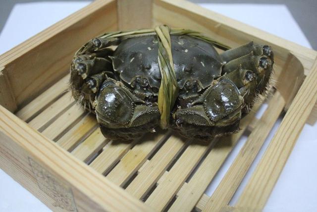 巴城镇阳澄湖大闸蟹蟹坊,阳澄湖巴城大闸蟹哪家好吃