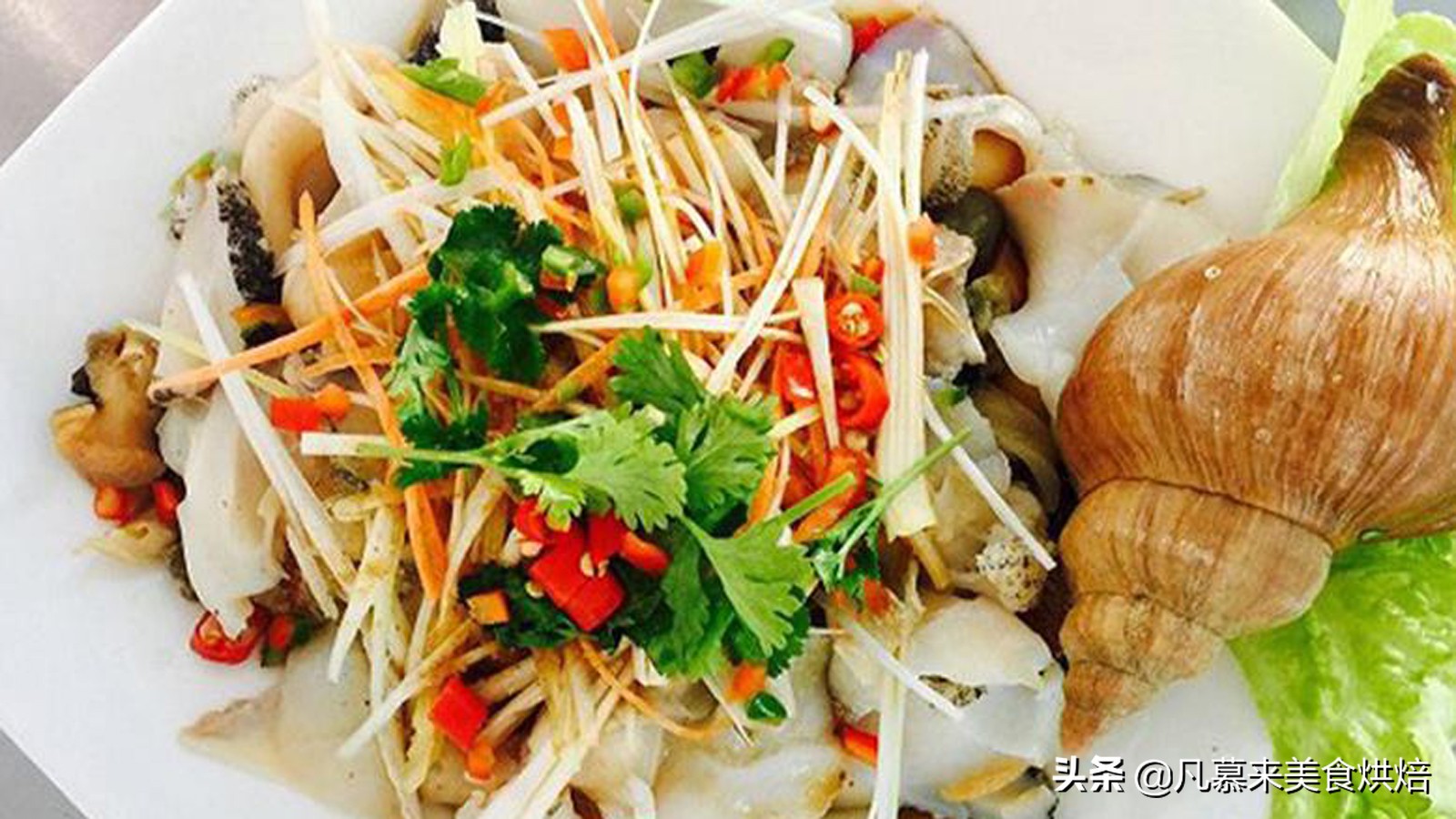 大海螺的正确吃法,最大的大海螺的正确吃法