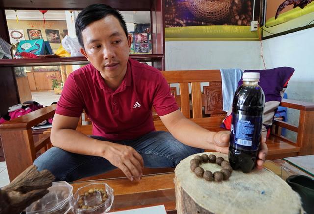 越南芽庄沉香与海南沉香的区别,越南沉香实地考察