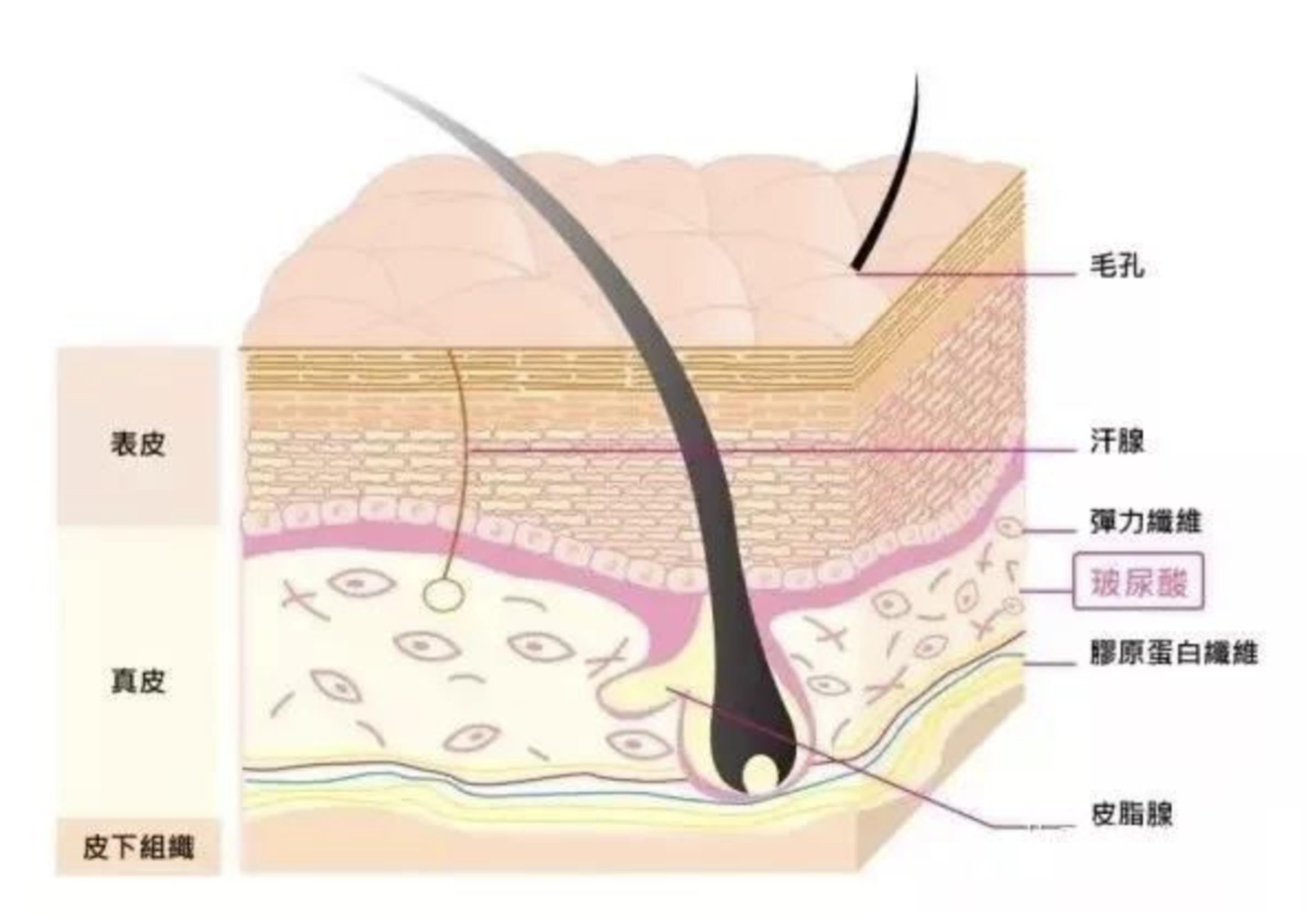 打一针玻尿酸隆鼻有没有危害,20岁姑娘打玻尿酸隆鼻