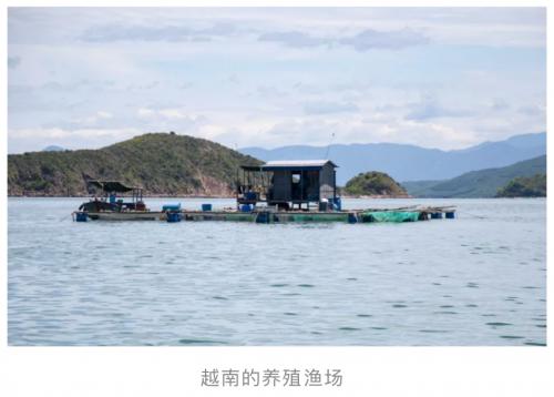 上海老用户福音：足不出户就能买到麦德龙是种什么体验？