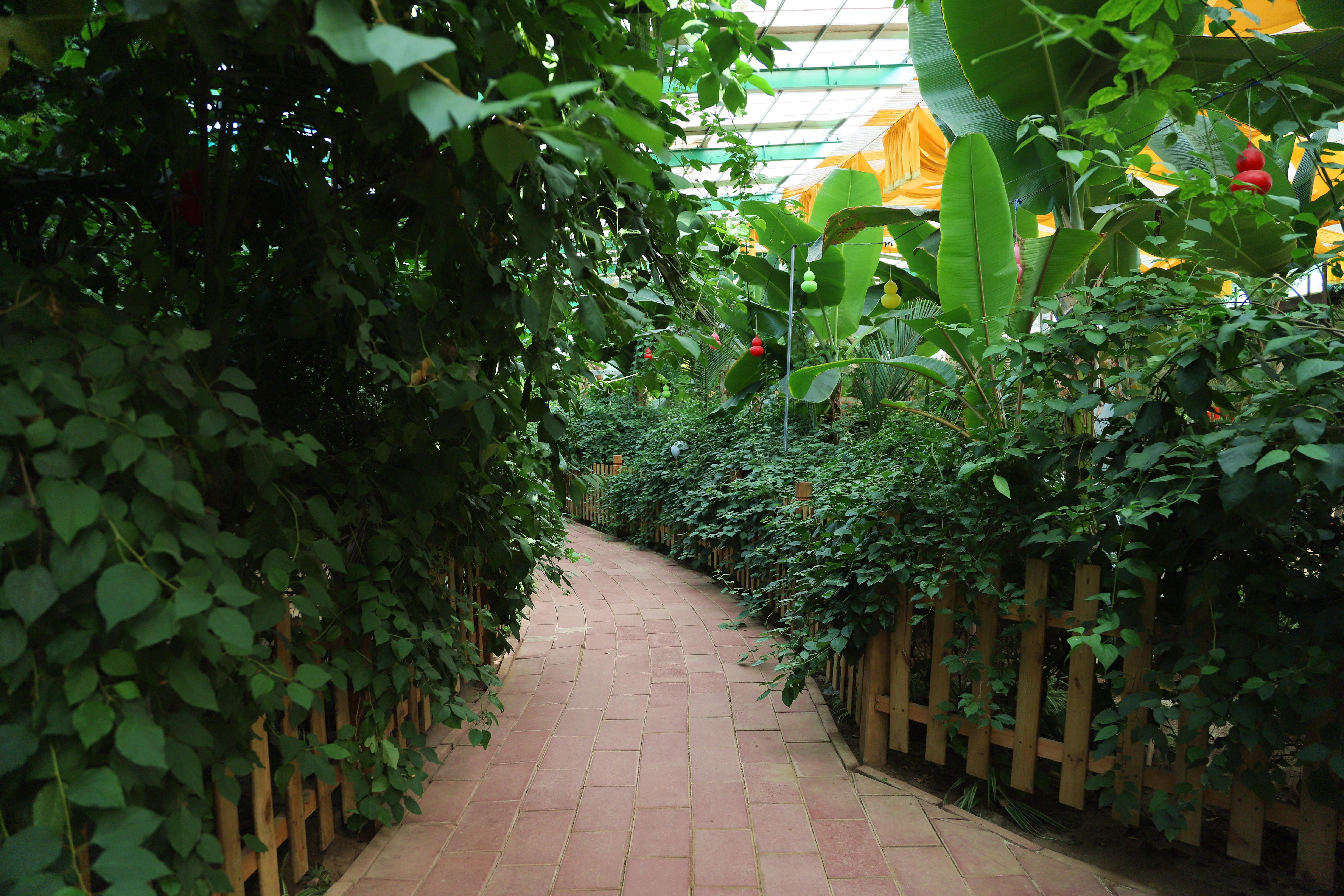 在心灵的栖息地遇见第五季