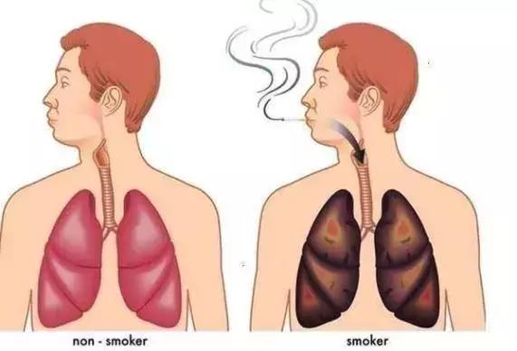 草烟和香烟区别,你见过的香烟