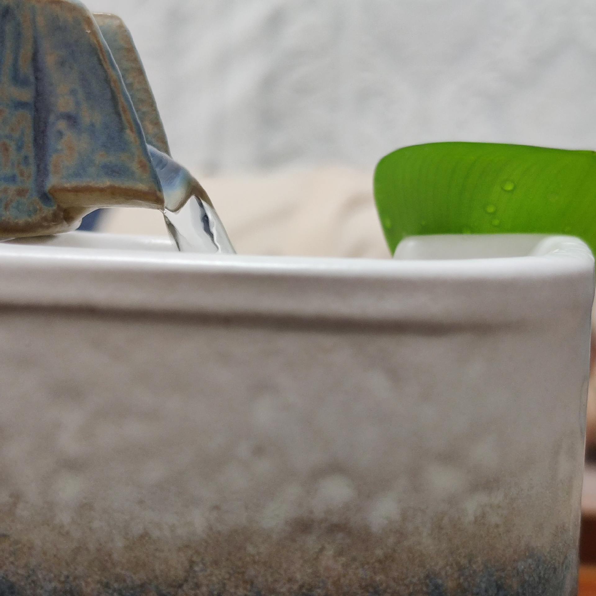 关于鱼缸的风水讲究图片,鱼缸的风水知识禁忌