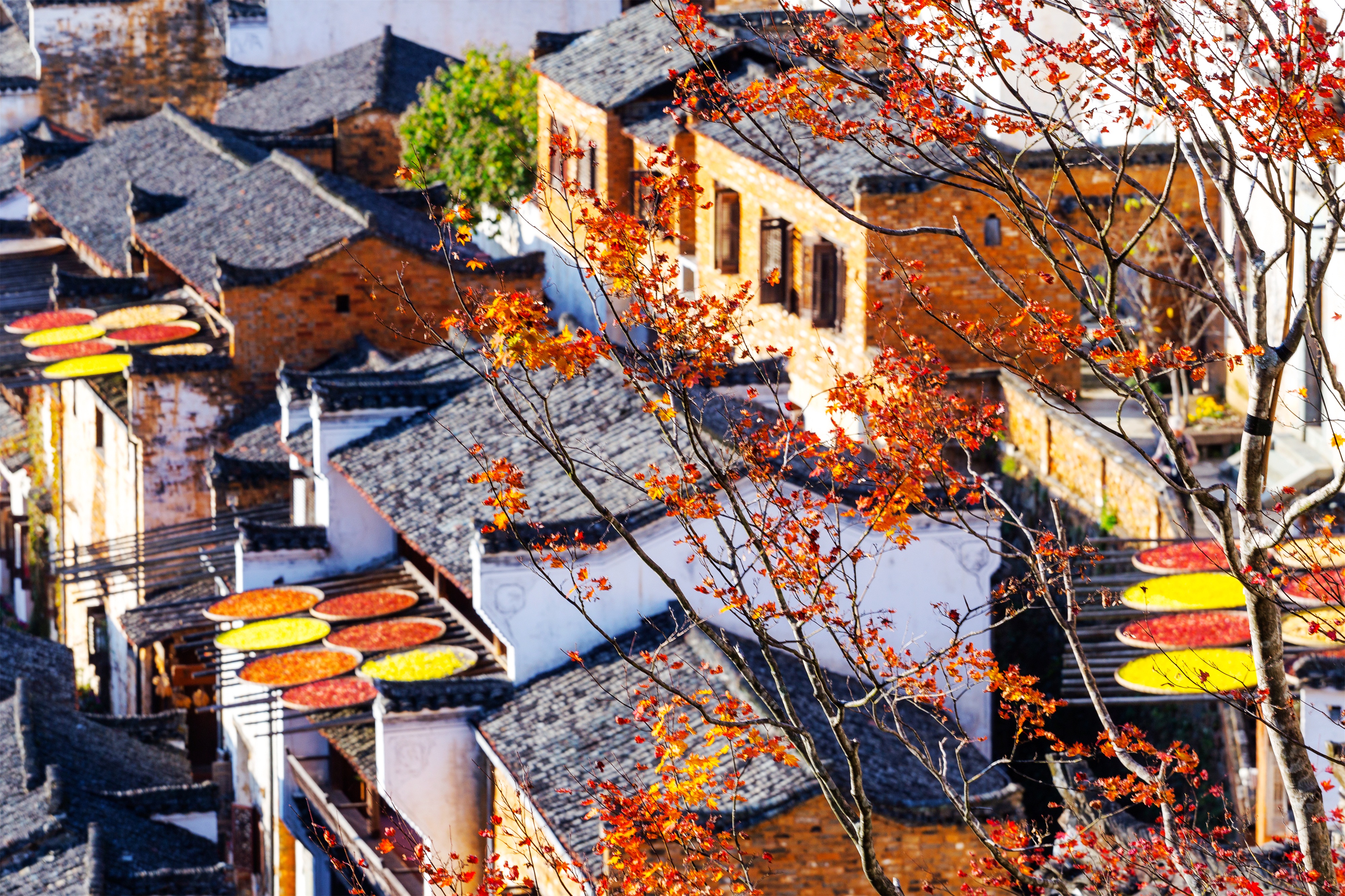 婺源篁岭晒秋古镇忆江南庭院,篁岭最美古村晒秋