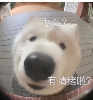 知名女主播张琪格直播拿户口本征婚：27，本科，明天就能领证