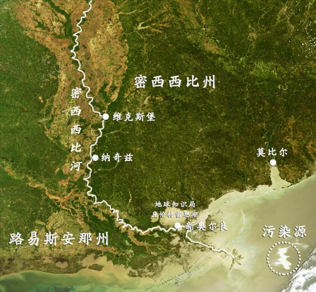 巴西龟的正确放生方法,巴西龟放生触犯了哪一条法律